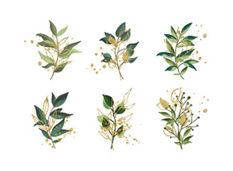 120款手绘水彩植物枝叶花草树叶装饰元素