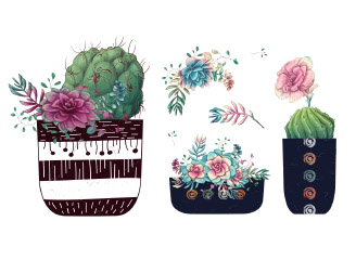 15款矢量小清新仙人掌多肉植物水彩花朵花卉插图