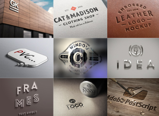 1901款带分类LOGO样机