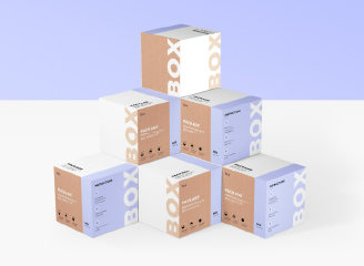 16款正方形产品包装盒样机