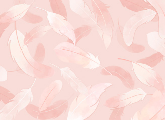 4款粉色羽毛背景