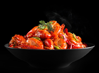 97款小龙虾高清摄影图库