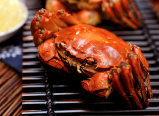 93款高清阳澄湖大闸蟹商业摄影图片