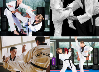 79款高清跆拳道商业摄影图片