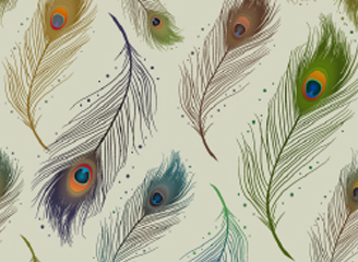 56款矢量典雅孔雀羽毛背景底纹