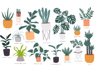 130款手绘花瓶盆栽花卉花朵植物元素