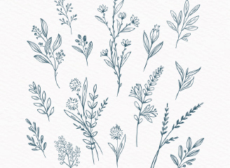 25款手绘矢量图线稿植物花卉复古线条花朵装饰印花元素