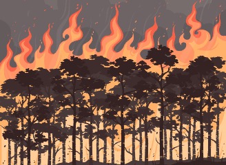 14款森林大火插画