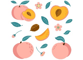 49款桃子插画