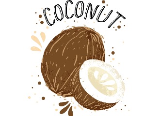 103款椰子插画元素