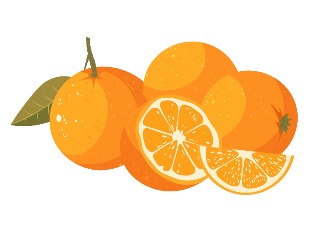 87款橘子插画元素